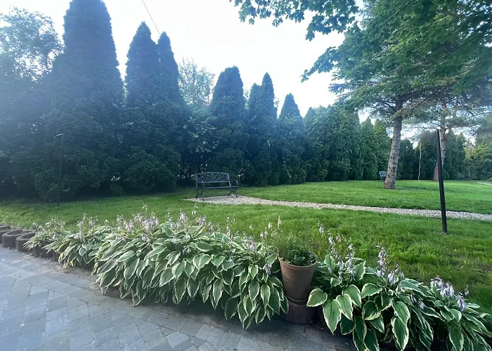 U Gustawa Klimta فرامبورك